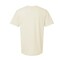 Gildan Unisex Softstyle Cotton Plain T-Shirt, Short Sleeve crewneck Craft Blank Shirt